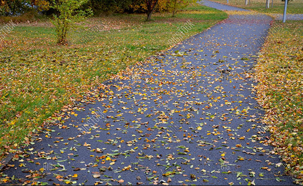 Asphalt Driveway Maintenance